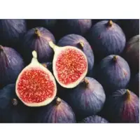 Black Figs