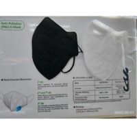 N99 Face Mask