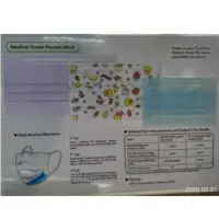 Surgical Mask