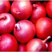 Red Onion