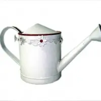 Garden Water Mug