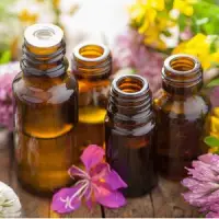 Essential Oils (Organic & Conventional)