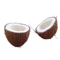 Semi Husked Coconut