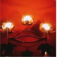 Decorative Lights