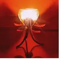 Decorative Lights