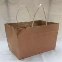 Brown Kraft Paper Bag