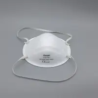 N95 Mask