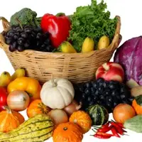 Fresh Vegetables