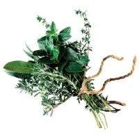 Herbs