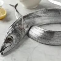 Fresh And Frozen Ribbon Fish