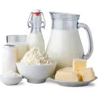 Dairy Products