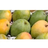 Kesar Mango