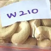 Cashew Nuts