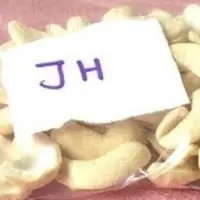 Cashew Nuts