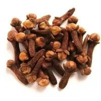 Clove