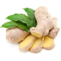 Ginger