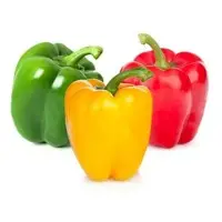 Capsicum