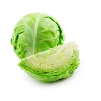 Cabbage