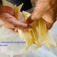Premium Raw Dried Fish Maw