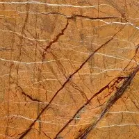 Rain Forest Gold