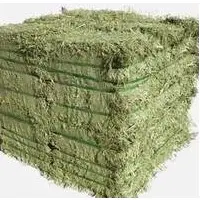 Alfalfa Hay