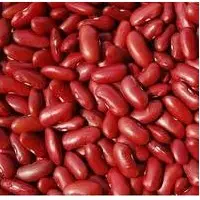 Kidney Beans, Red Kidney Beans
