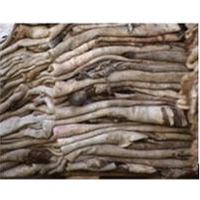 Wet Salted Cow Hides