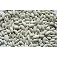 White and Red Speckled Sugar Beans