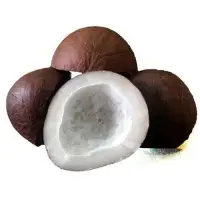 Dry-Coconut