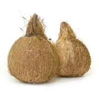 Fresh Coconut
