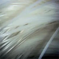 Inner Tube
