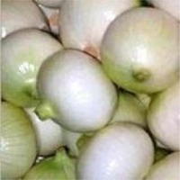 Onion