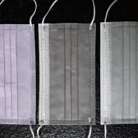 3ply Mask