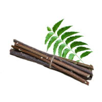 Neem Sticks