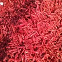 Red Chilli