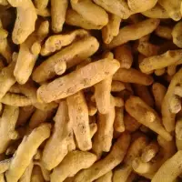 Turmeric Sticks
