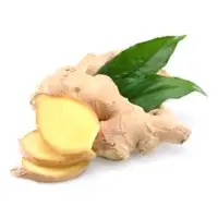 Ginger