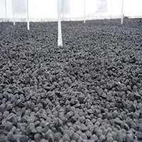 Charcoal Briquette