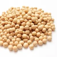 Soybean