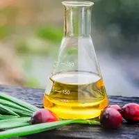 RBD Palm Oil