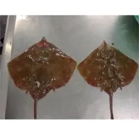 Whole Sting Ray