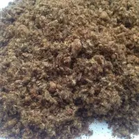 Cotton Seed Oil Cake