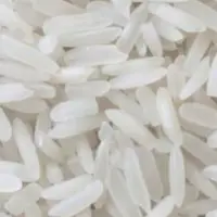 White Rice