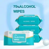 Alcohol Wipes/50count Disinfectant Wipes