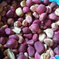 Kola Nuts