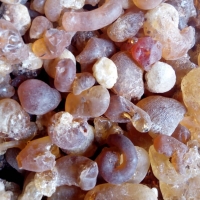 Gum Arabic