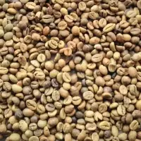 High Quality Robusta Coffee Beans