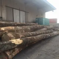 Ash Logs And Lumbers