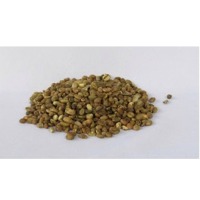 Robusta Coffee