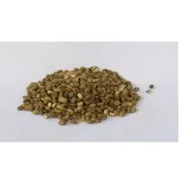 Robusta Coffee